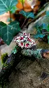 20251103_150927.webp