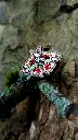 20251103_150946.webp