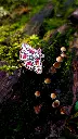 20251103_150927GF.webp