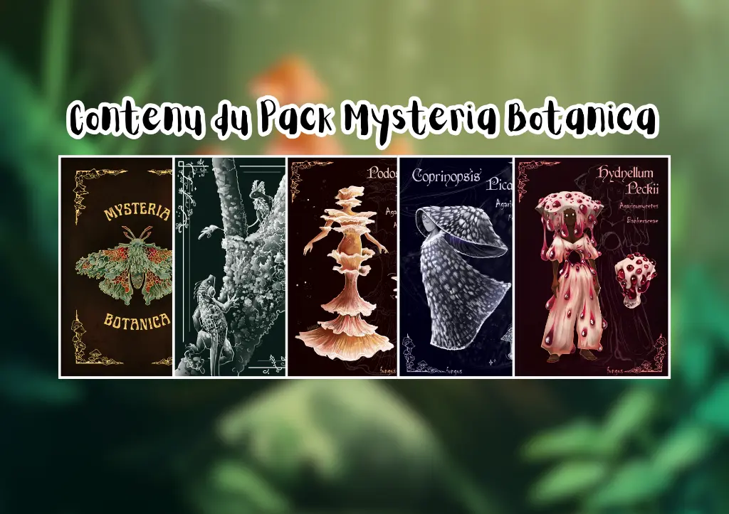 contenu pack (2).webp