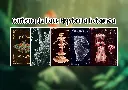 contenu pack (2).webp