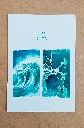 ORI - Effet Mer (1).webp