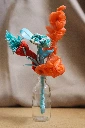 IMG_4372_.webp