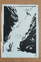 ORI - Au fond du saut (1).webp