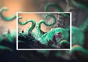 Print - Kraken