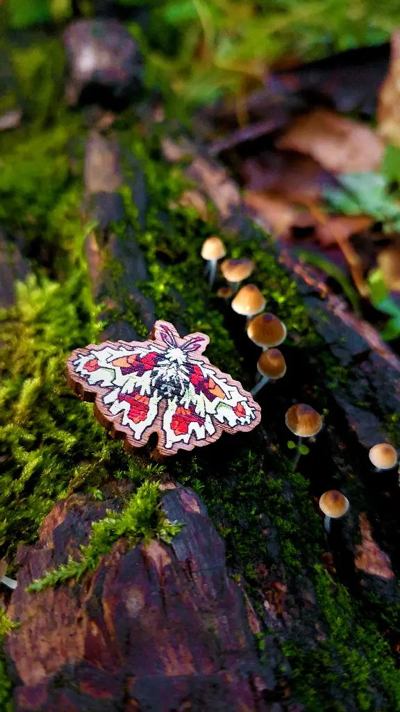 Pins en bois - Bryopil